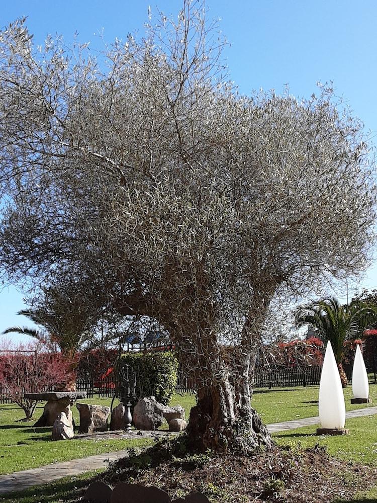 Hotel Marques De La Moral Naveces Εξωτερικό φωτογραφία